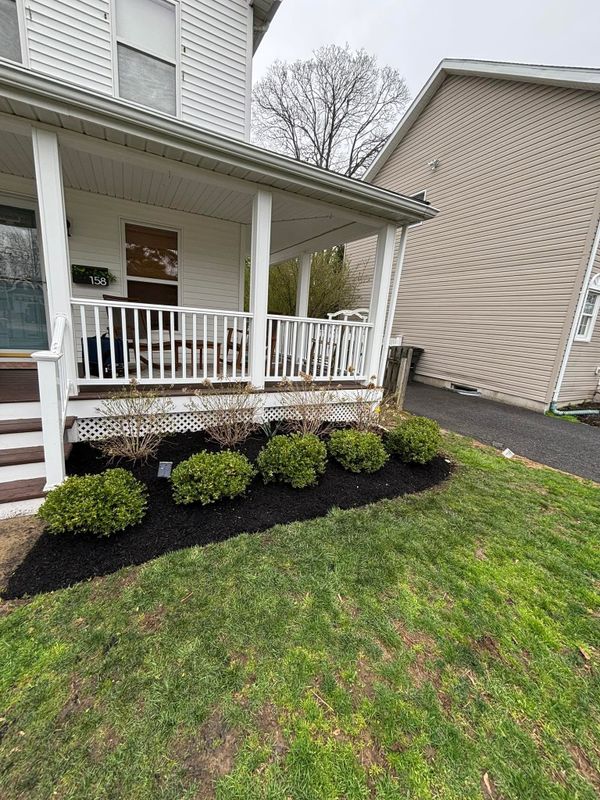 Plant & Shrub Installations