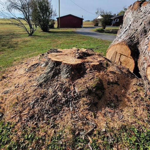 Stump grinding