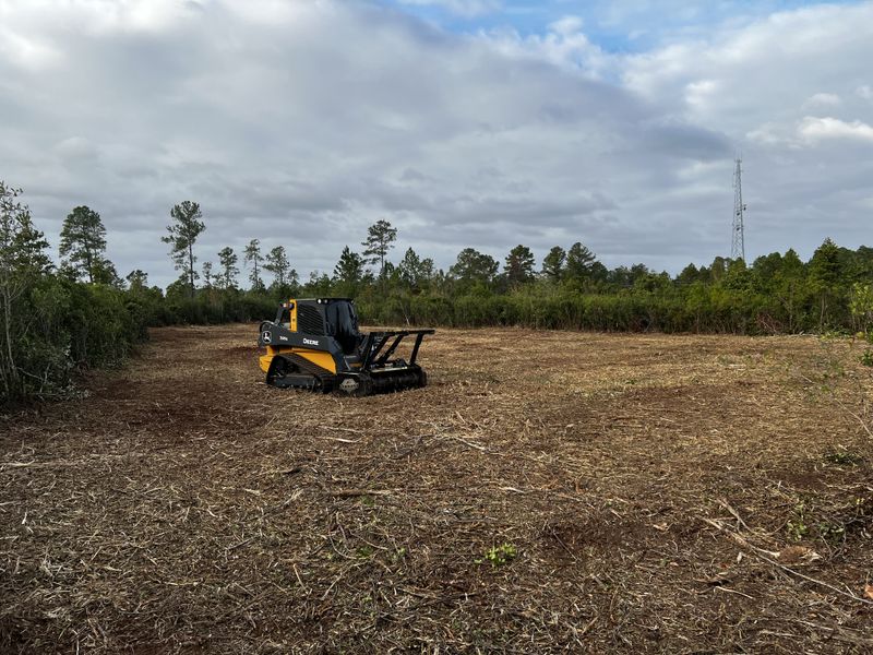 Forestry Mulching