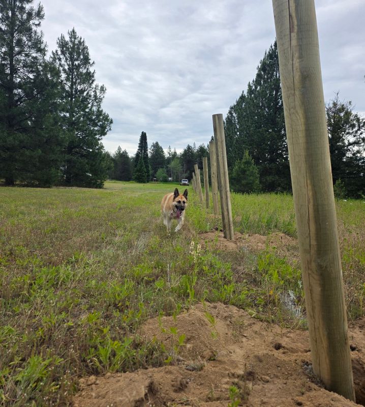 Fence Installation