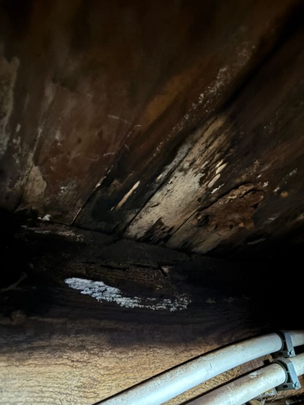 Leak Detection & Repair