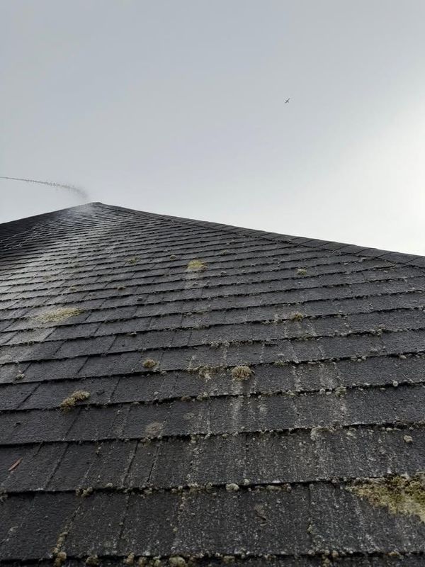 Roof Cleaning
