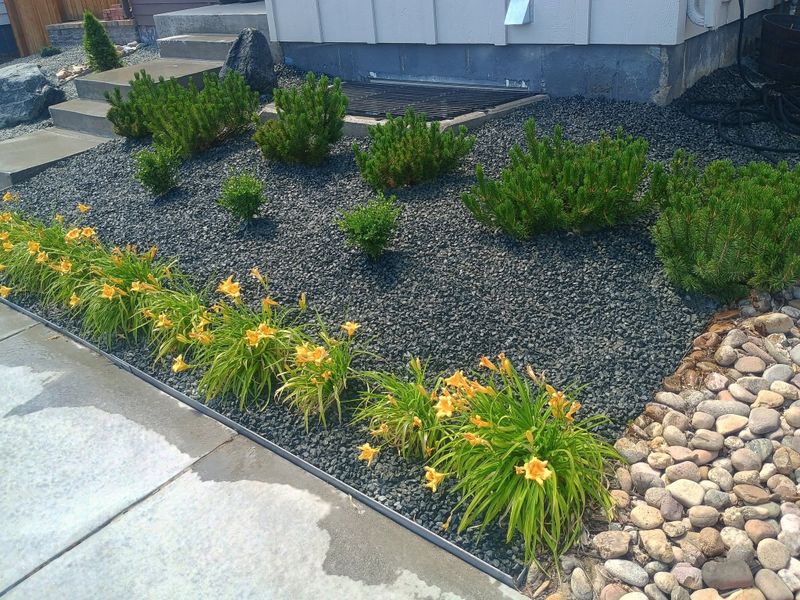 Landscape Design