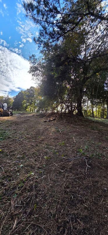 Brush Cutting