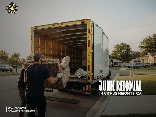 Junk Removal
