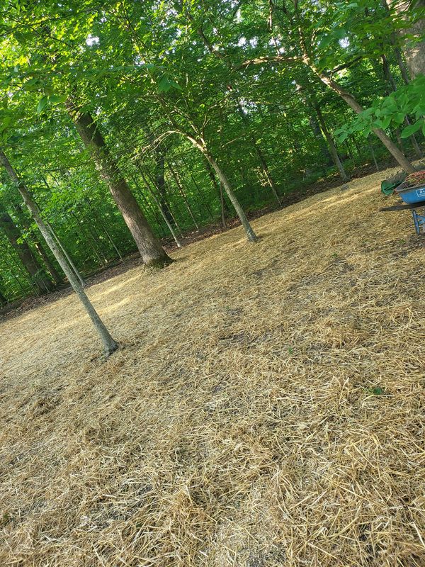 Land Clearing