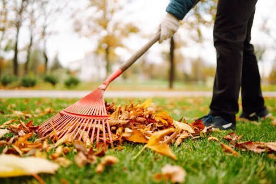 Fall Cleanup