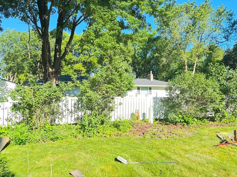 Tree Removal