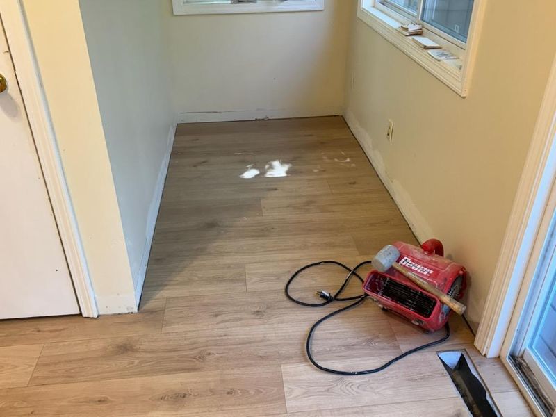 exterior painting and flooring