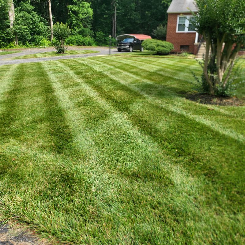Lawn Maintenance
