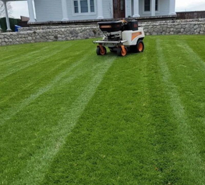 Lawn Care