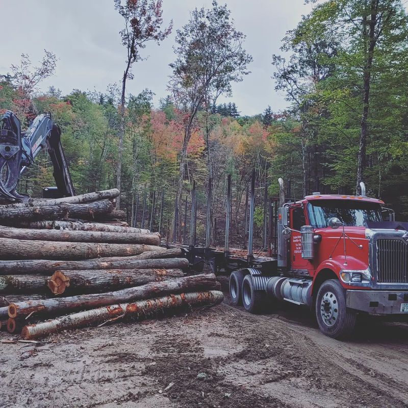 Logging