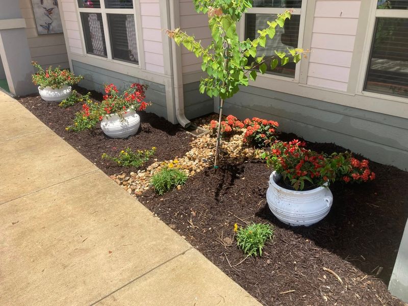Outdoor Living Spaces