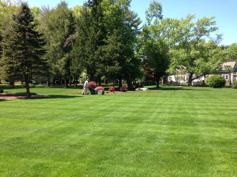 Commercial Lawn Maintenance