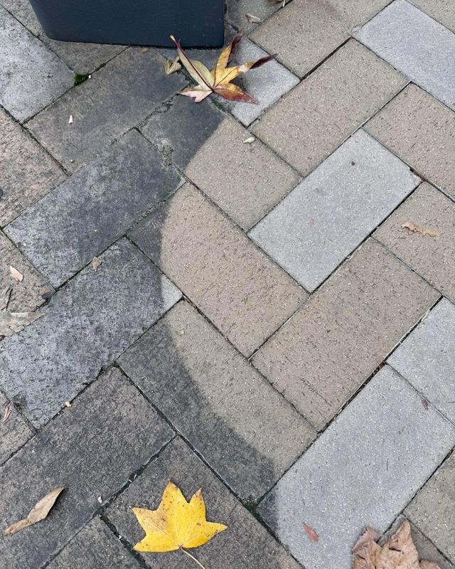 Paver stone patio Cleaning