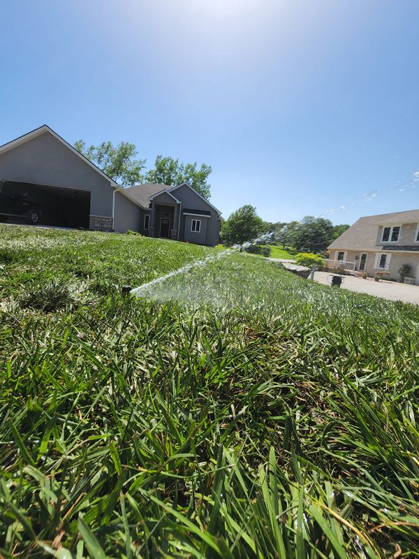 Lawn Care