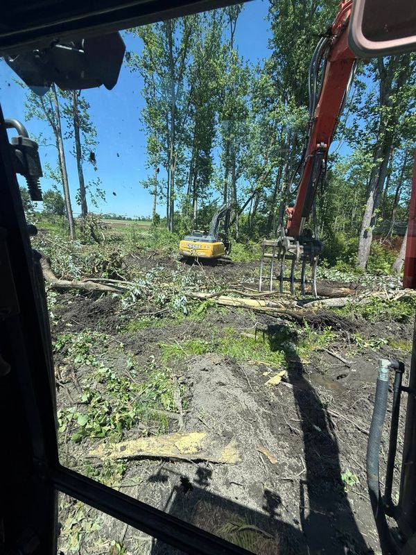 Land Clearing
