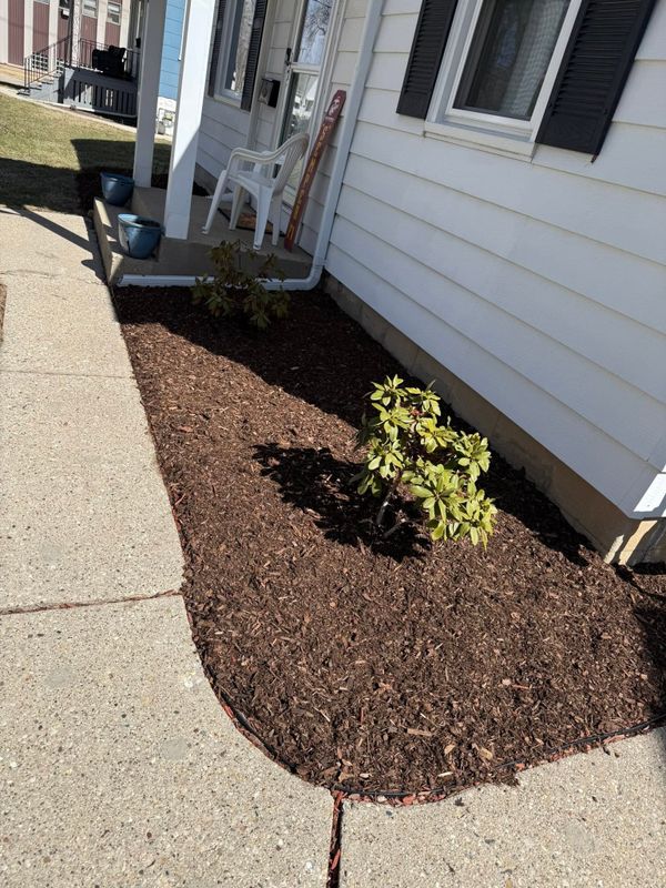 Lawn Maintenance