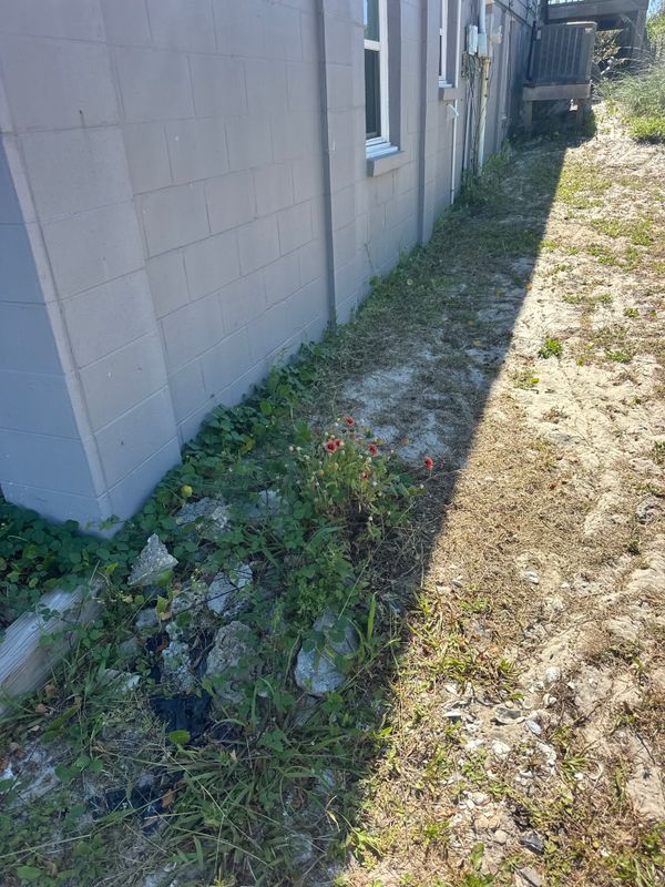Exterior Renovations