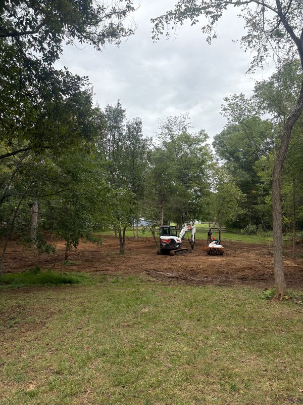Land Clearing