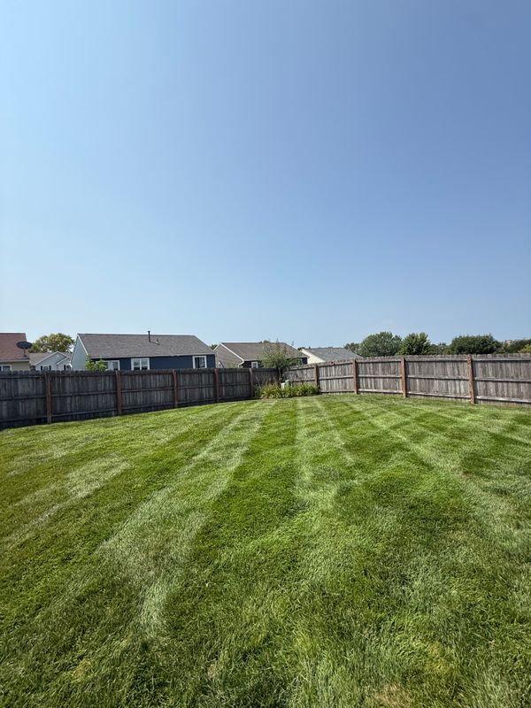 Lawn Maintenance