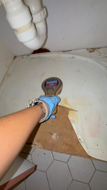 Water Mitigation