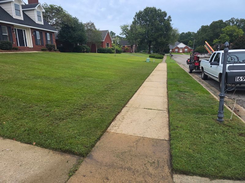Lawn Maintenance