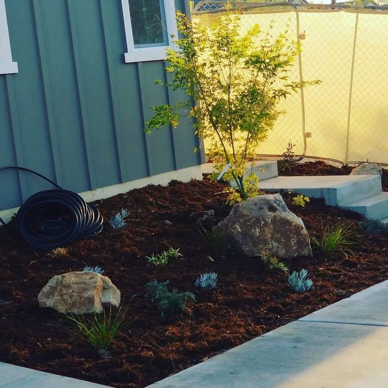 Landscape Design