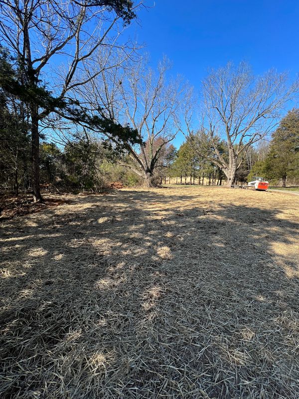 Land Clearing