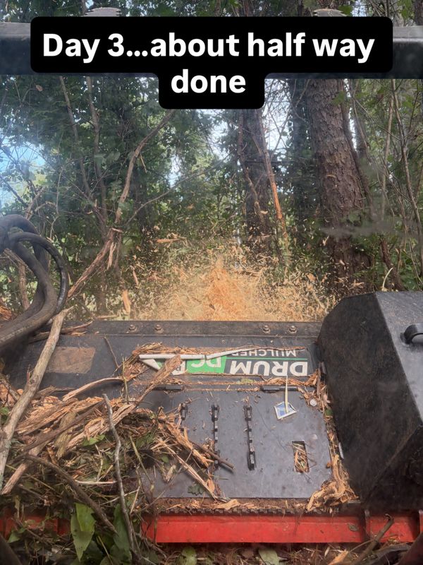 Land Clearing Photos