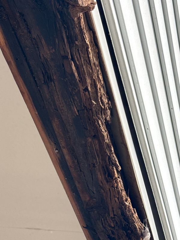Home Repairs