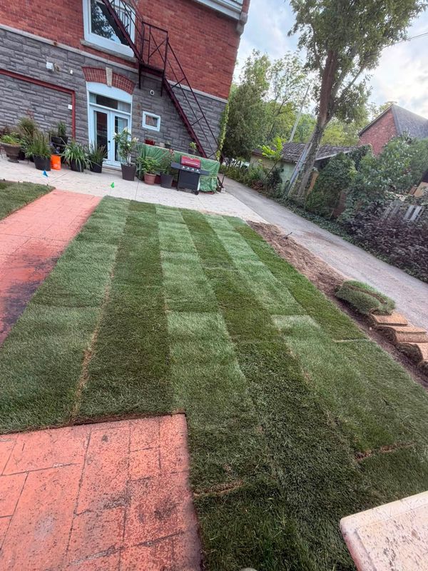 Sod Installation in Downtown Hamilton, Ontario