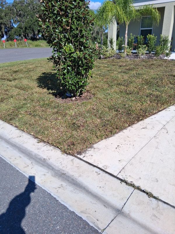 Landscape Design