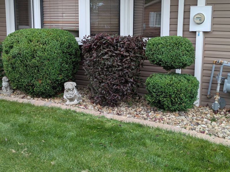 Hardscape Installation