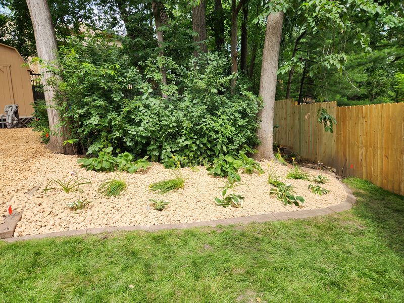 Landscaping 
