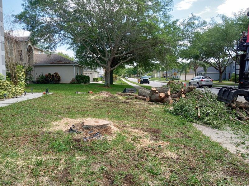 Tree Services
