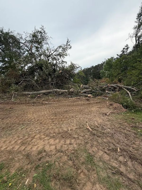 Land Clearing
