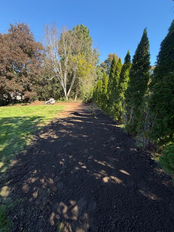 Tree & Shrub Care