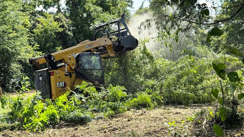 Forestry Mulching