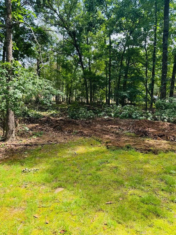 Land Clearing