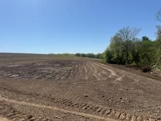Land Clearing
