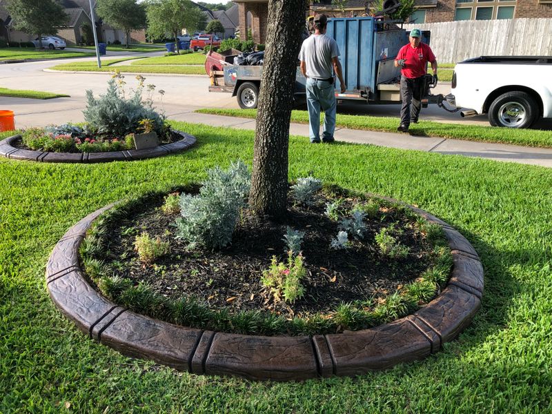 Landscape Border Systems