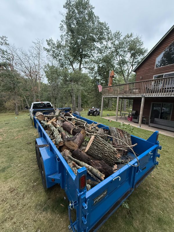 Brush Removal