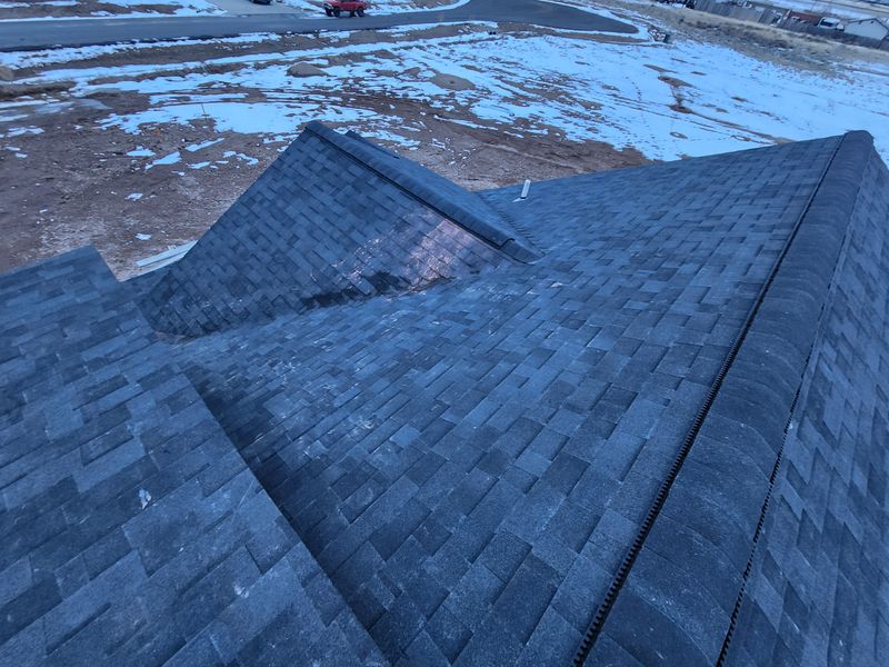 Shingle and Metal Roofs