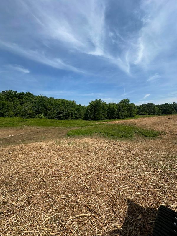 Largescale Landclearing