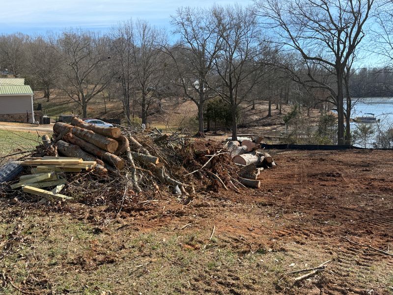 Land Clearing