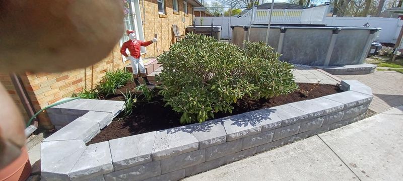 Shrub & Plant Installation Photos