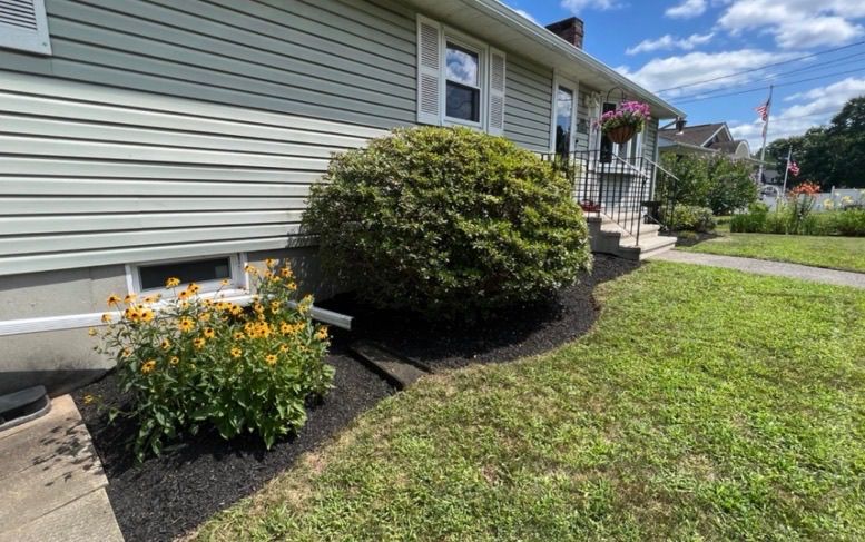 Lawn Maintenance