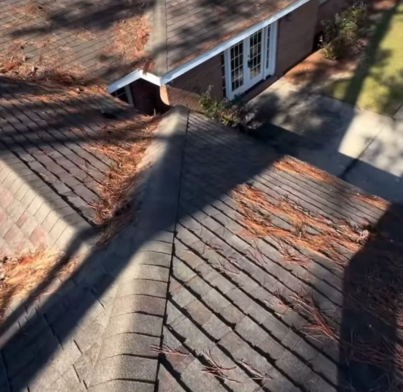 Other Property Maintenance