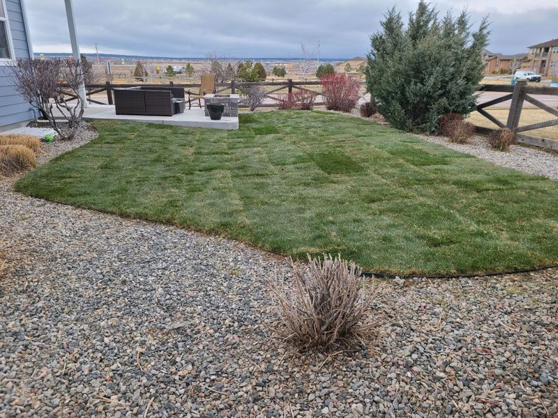 Lawn Mowing